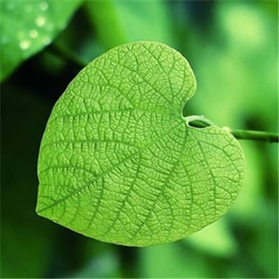 半岛官网最新下载